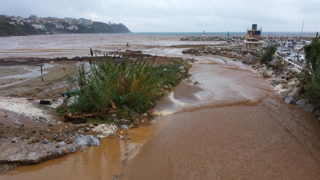 Rio Salivoli (Piombino) - rospi smeraldini in citt!